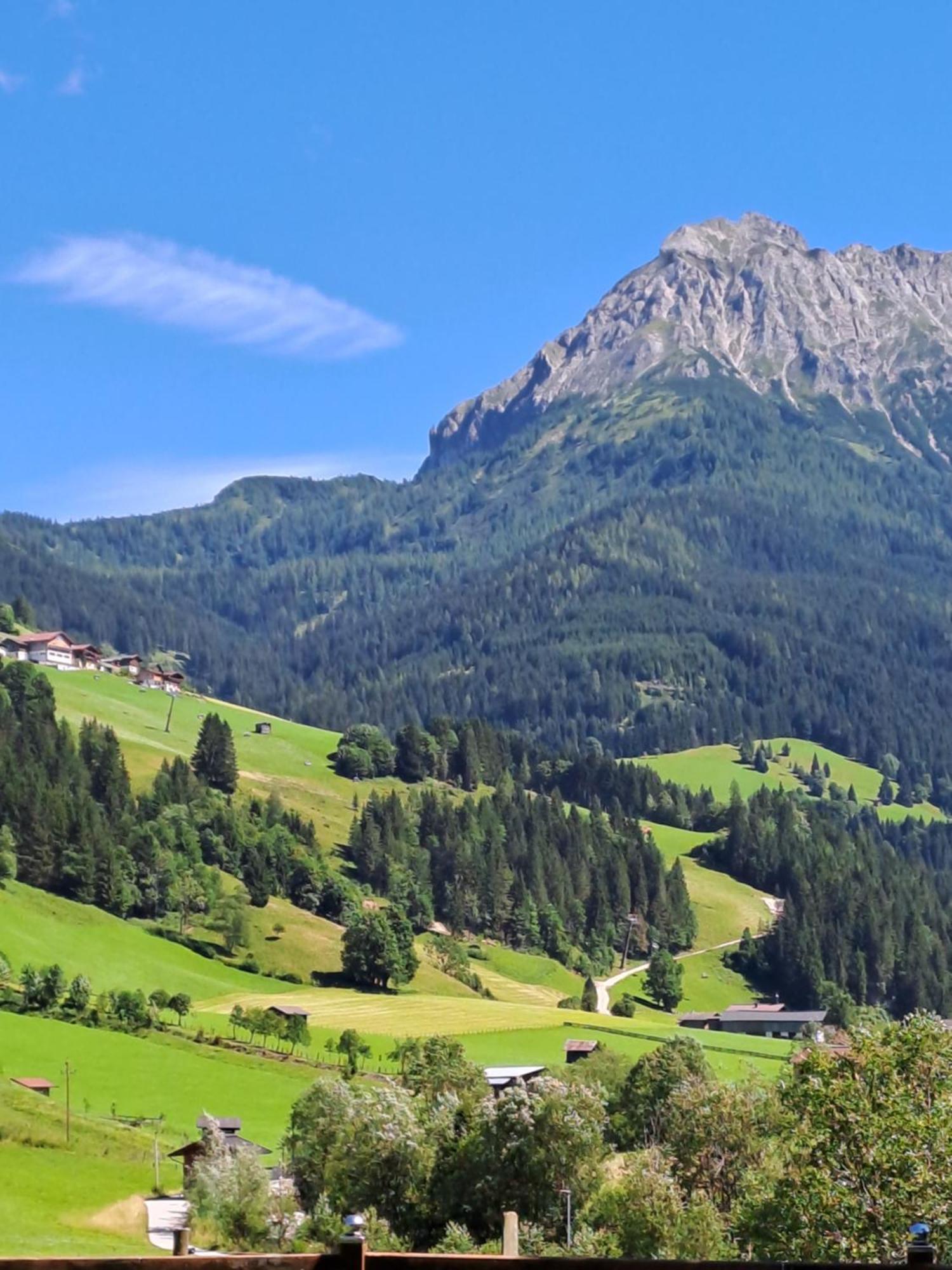 Zimmer & Appartements Schwarzenbacher Sonja & Konrad Kleinarl Zewnętrze zdjęcie